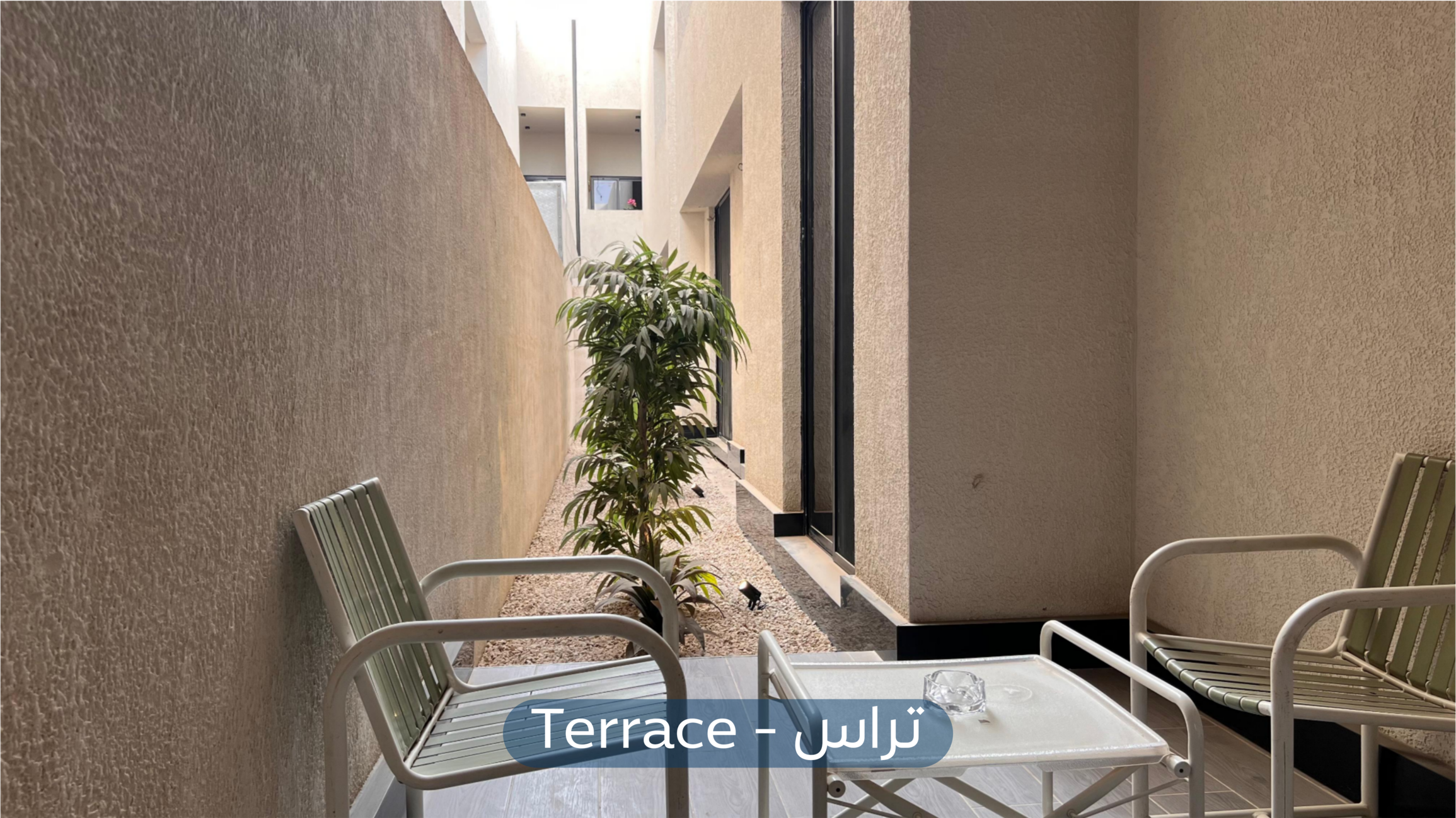 صورة كبيرة 1