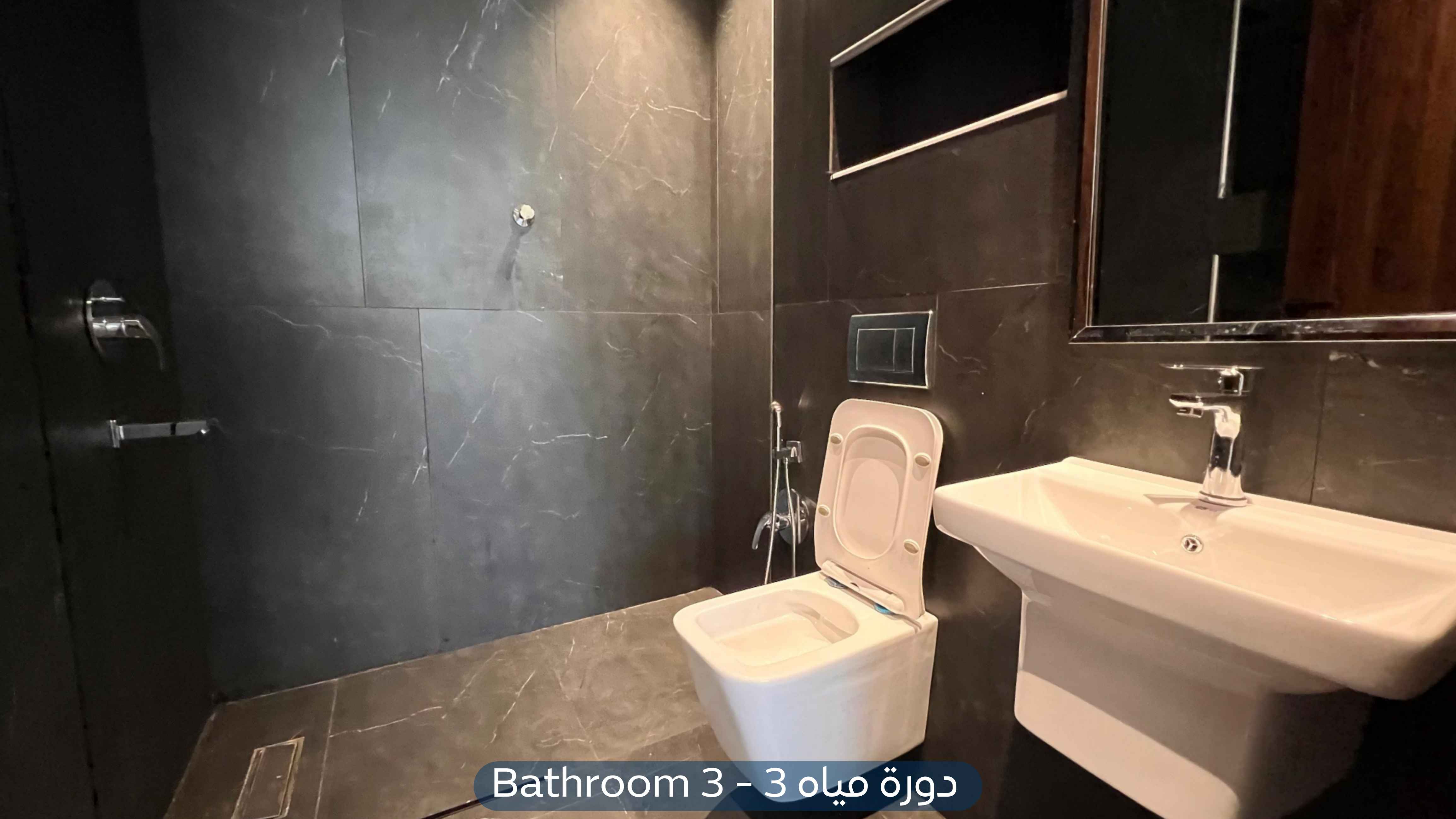 صورة كبيرة 1