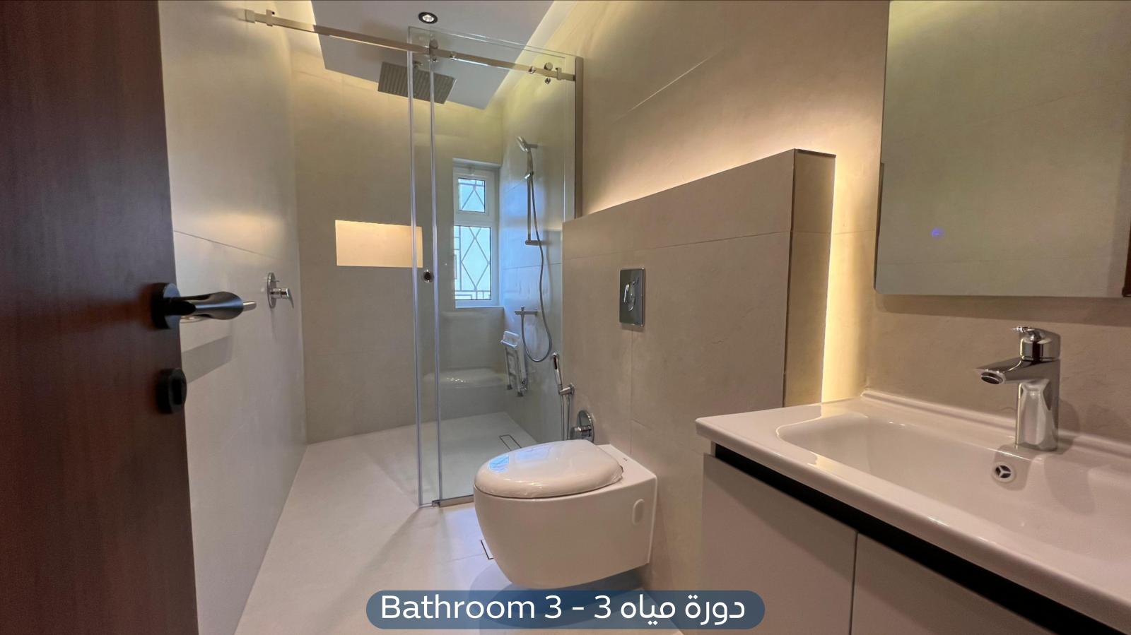 صورة كبيرة 1