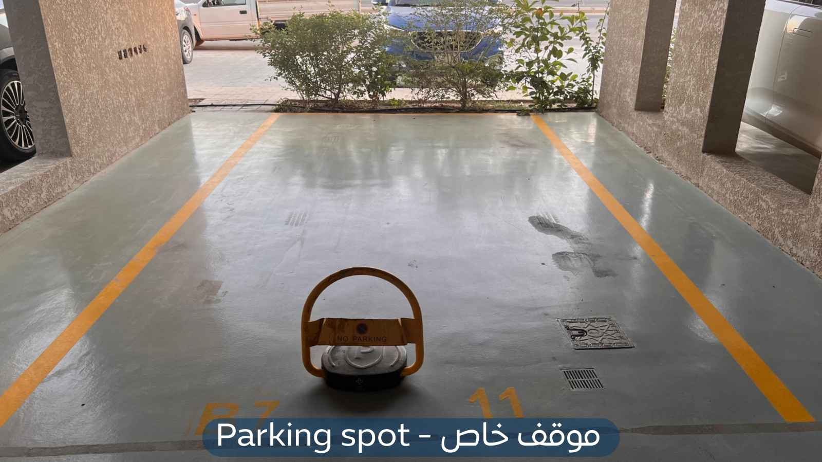 صورة كبيرة 1