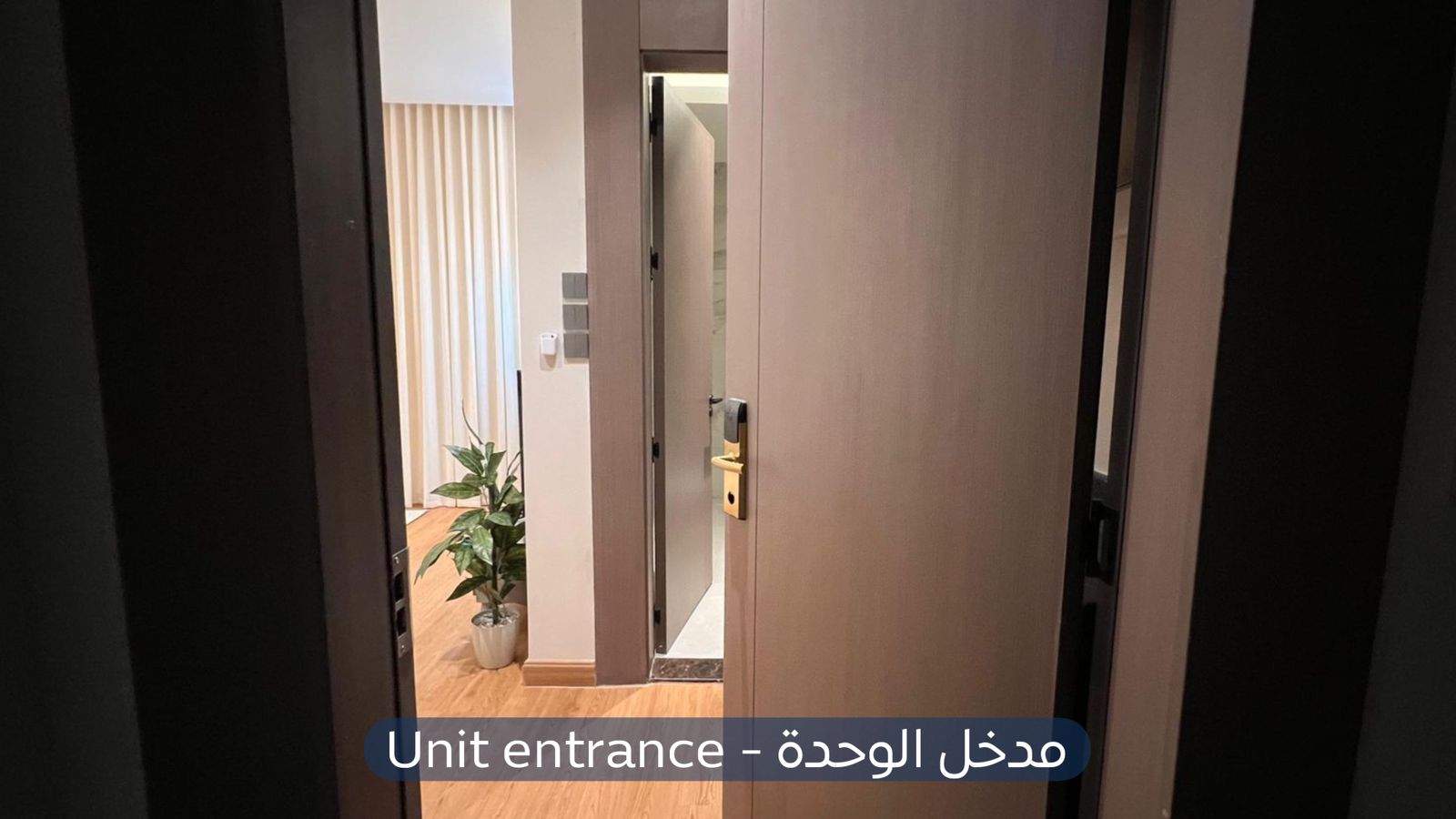 استديو  في حي المربع