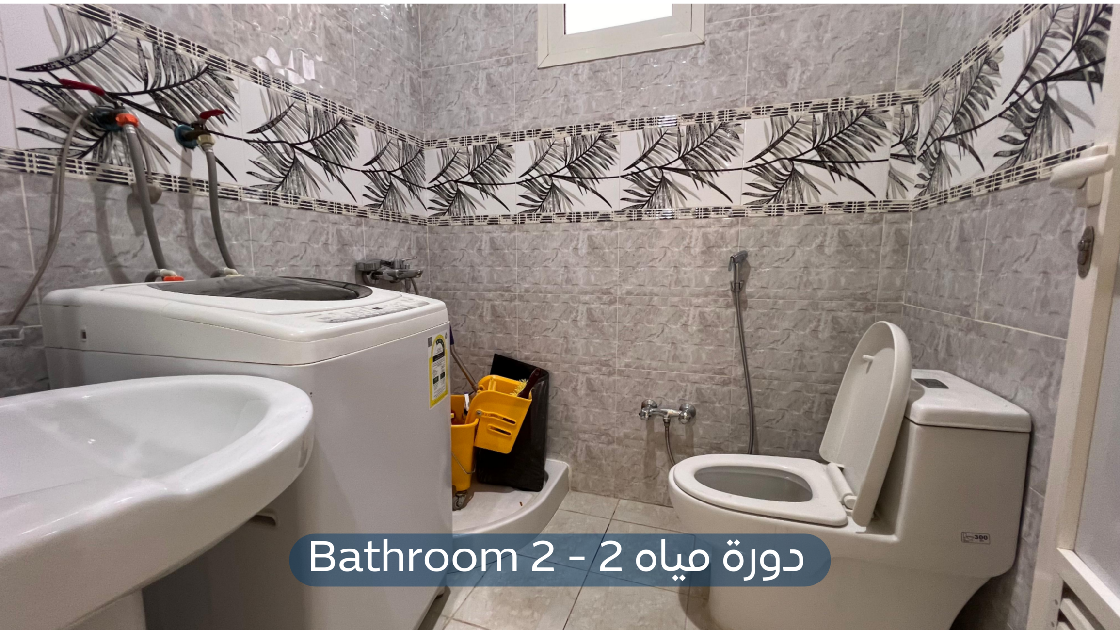 صورة كبيرة 1