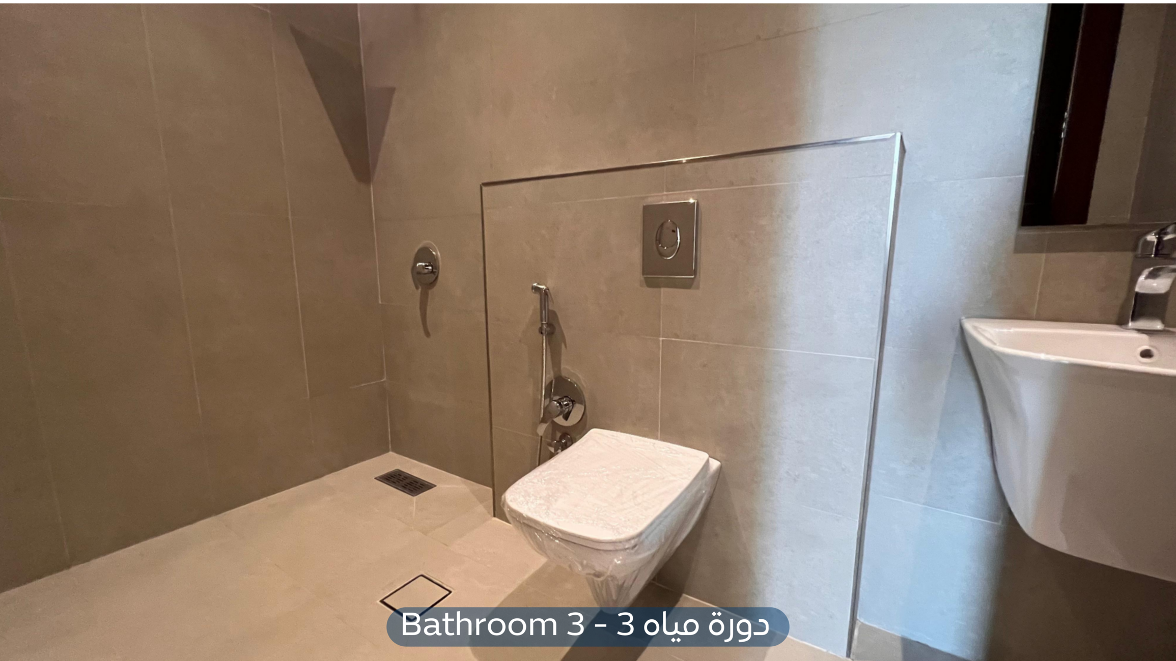 صورة كبيرة 1