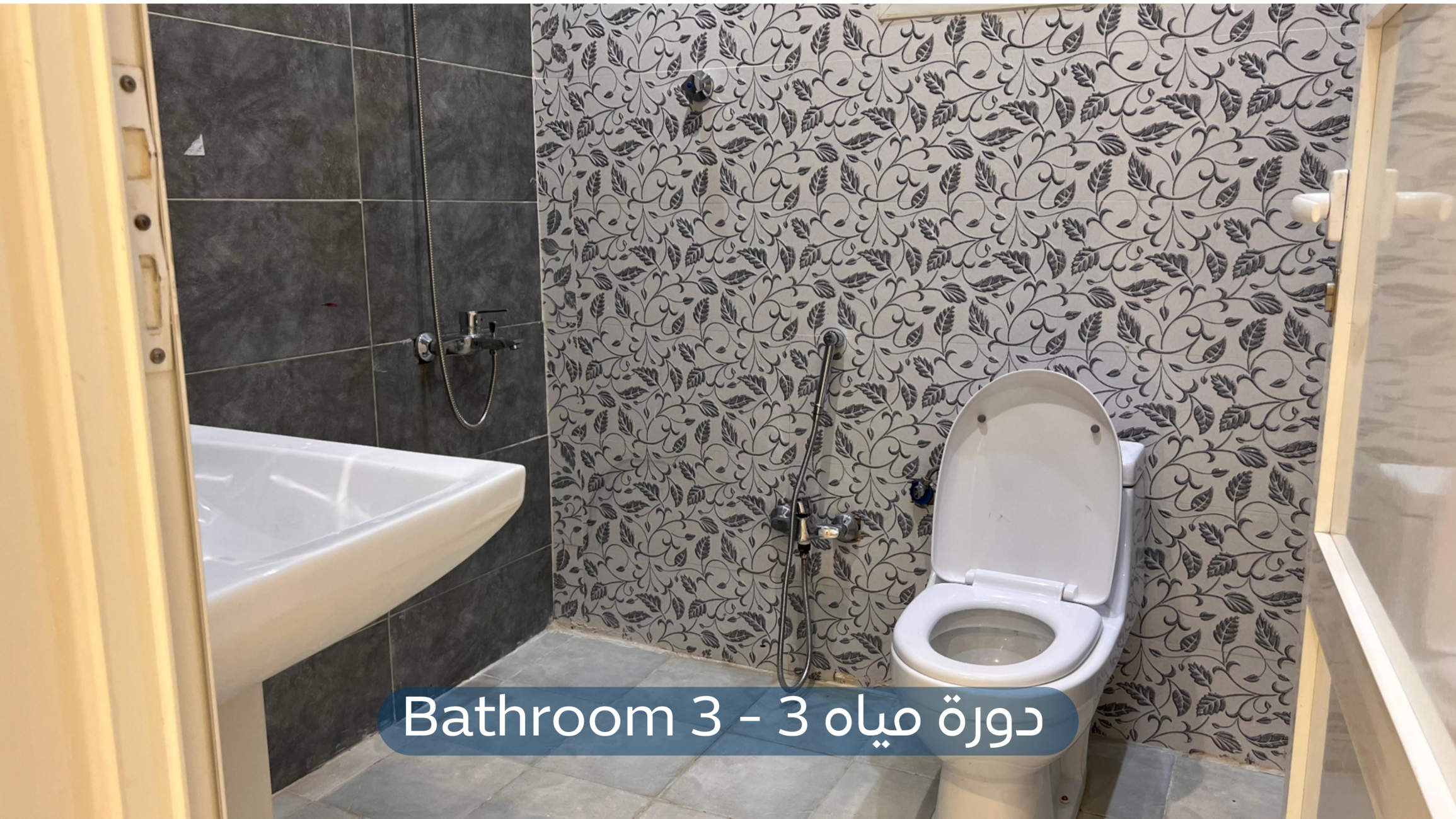 صورة كبيرة 1