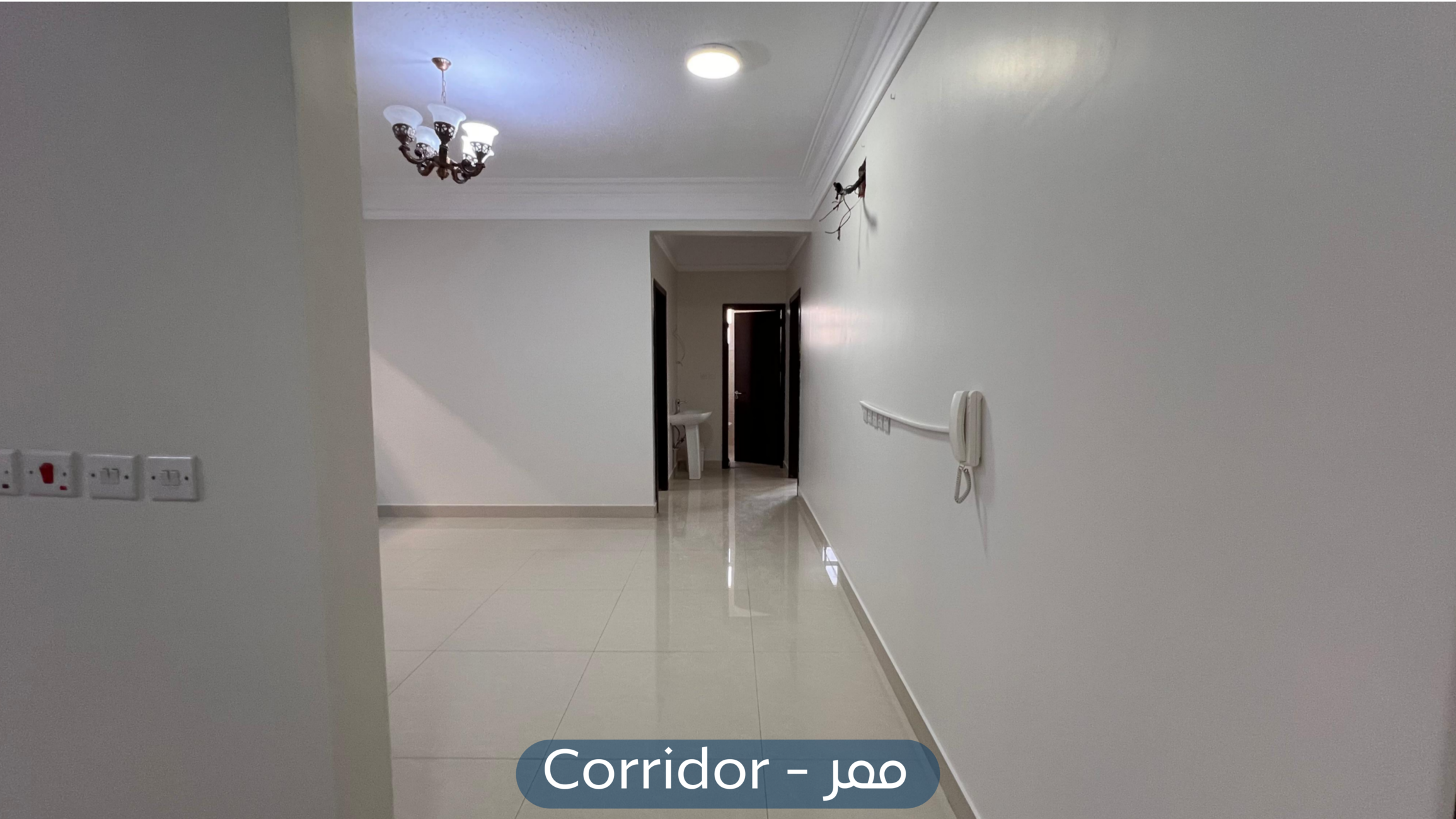 صورة كبيرة 1