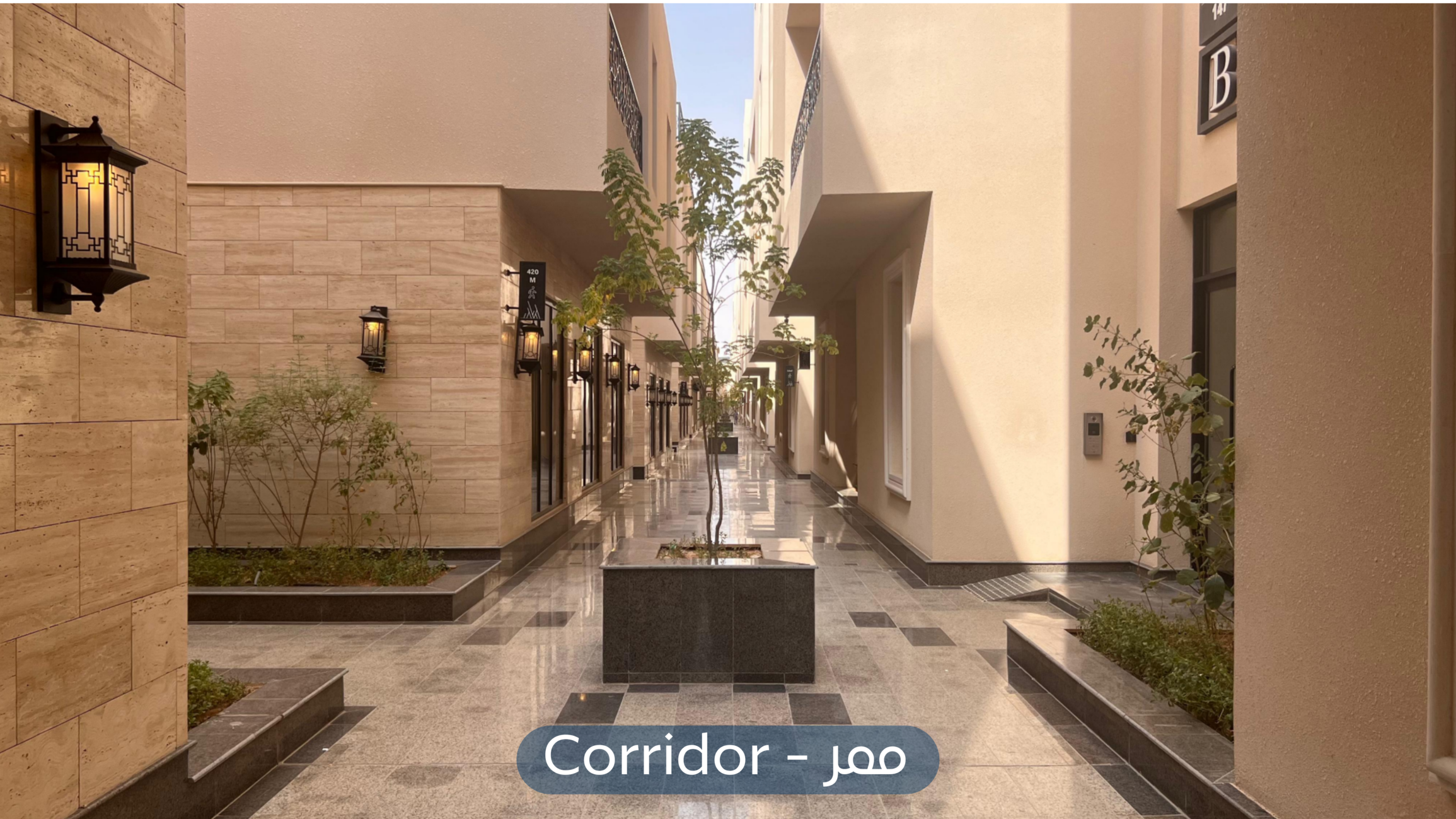 صورة كبيرة 1